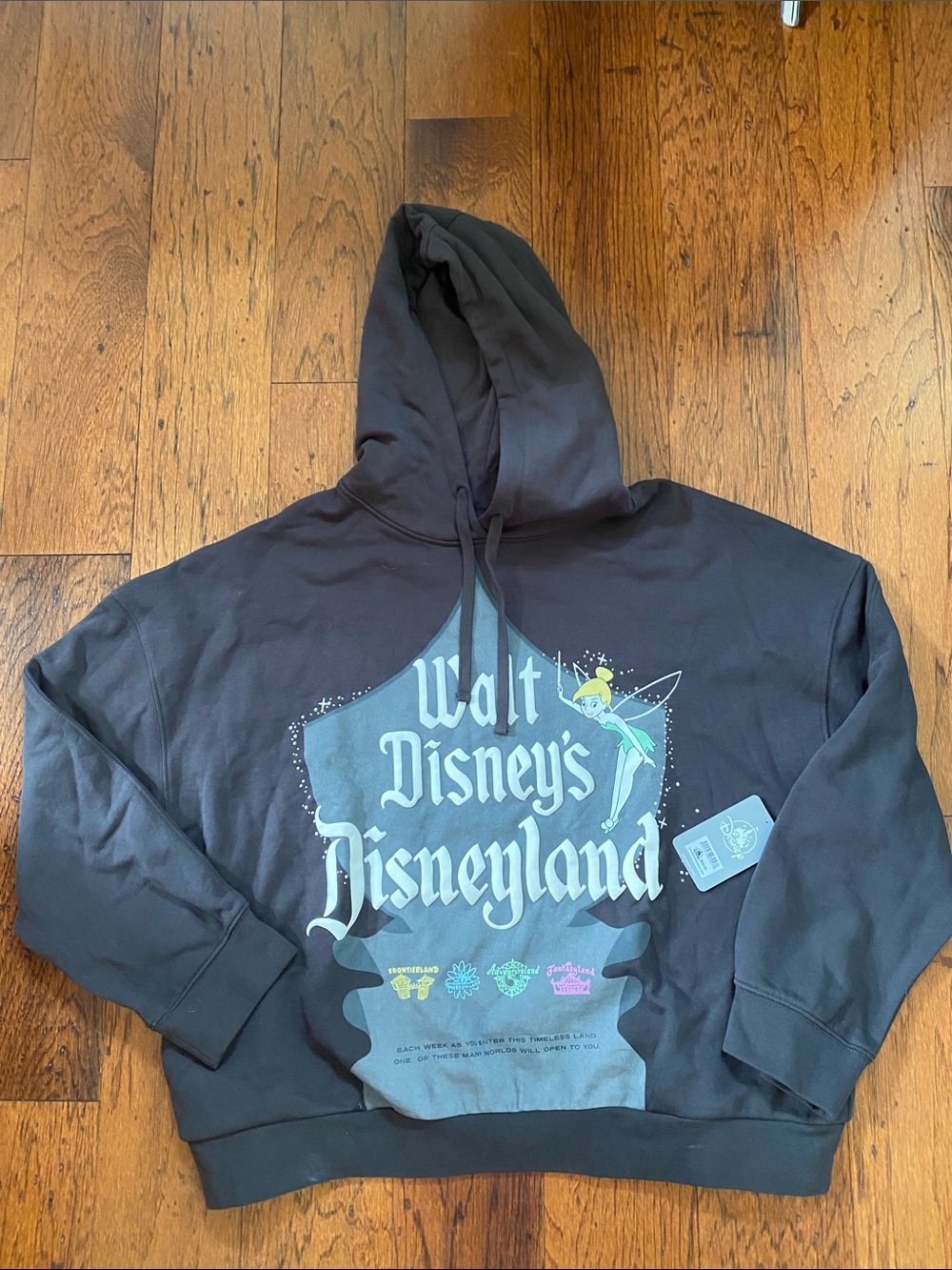 NWT- Walt Disney’s Disneyland hooded sweatshirt-large